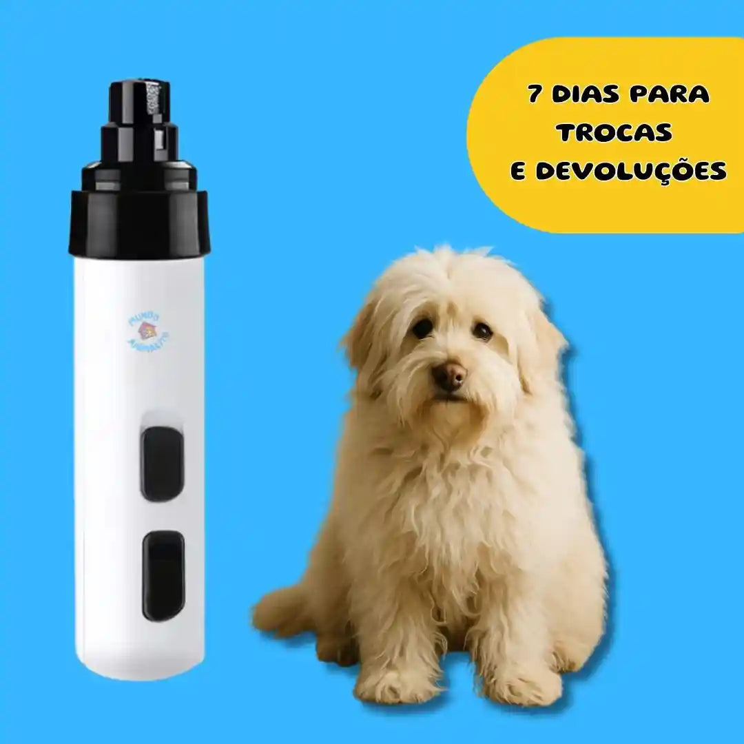 Lixador elétrico de unhas para cachorros ao lado de cão peludo em fundo azul