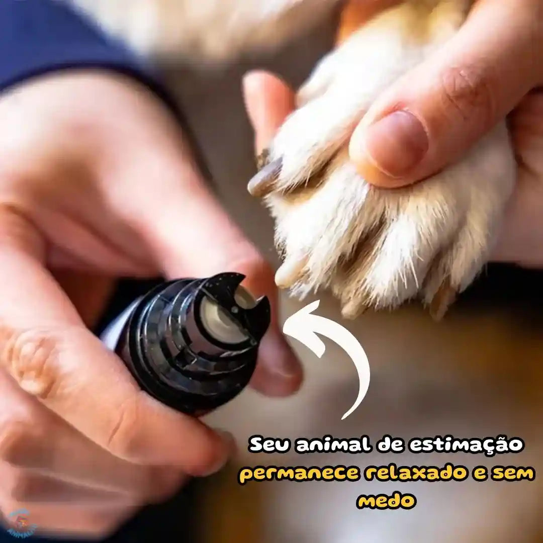 Pessoa usando lixador elétrico de unhas em pata de cachorro, cuidado animal doméstico.