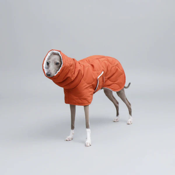 Casaco Impermeável Alcolchoado e Ajustável para Galgo Italiano e Whippet