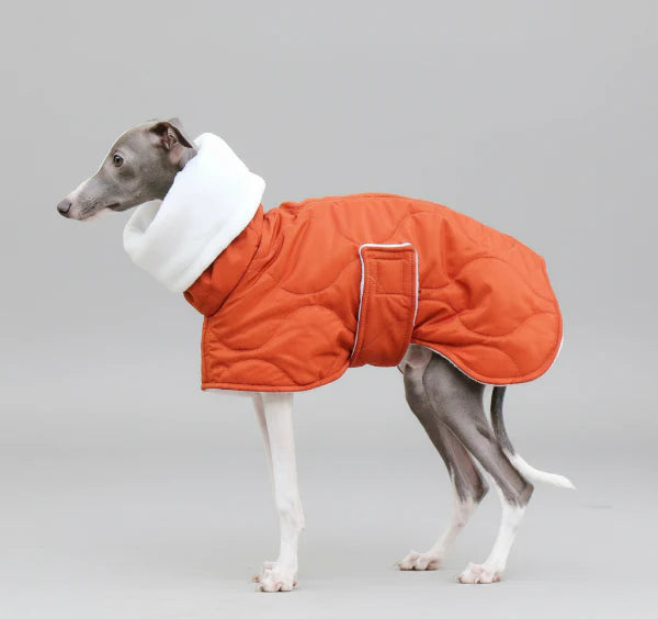 Casaco Impermeável Alcolchoado e Ajustável para Galgo Italiano e Whippet