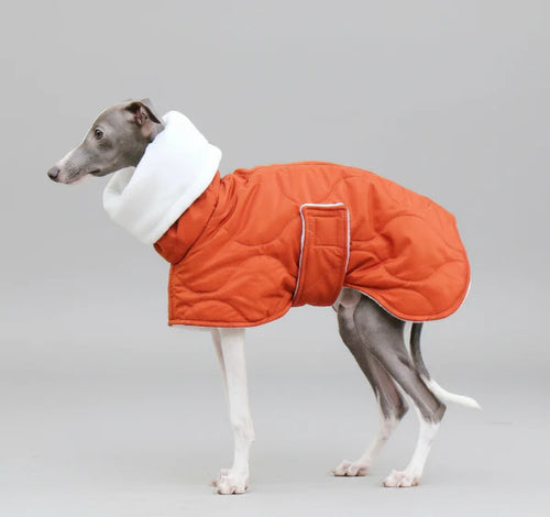 Casaco Impermeável Alcolchoado e Ajustável para Galgo Italiano e Whippet