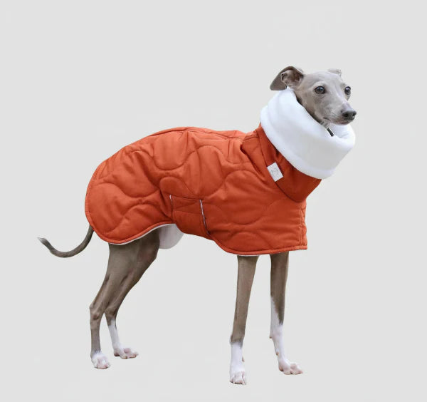 Casaco Impermeável Alcolchoado e Ajustável para Galgo Italiano e Whippet