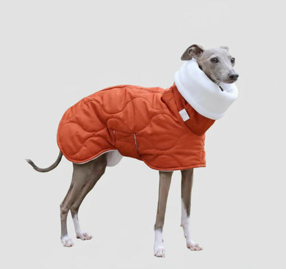 Casaco Impermeável Alcolchoado e Ajustável para Galgo Italiano e Whippet