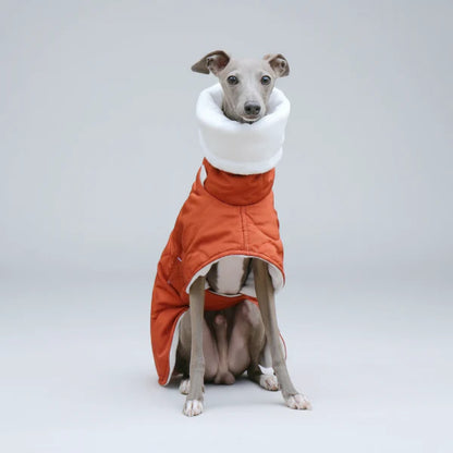 Casaco Impermeável Alcolchoado e Ajustável para Galgo Italiano e Whippet