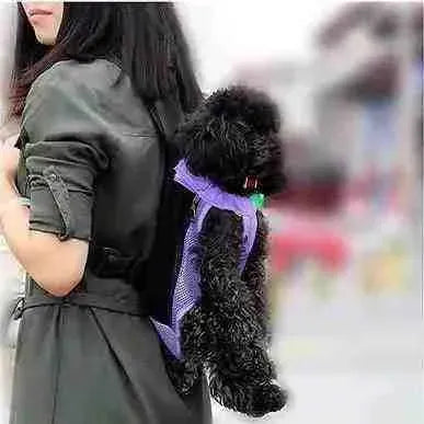 Mochila Canguru para Transporte de Cachorro - Mundo Animalito