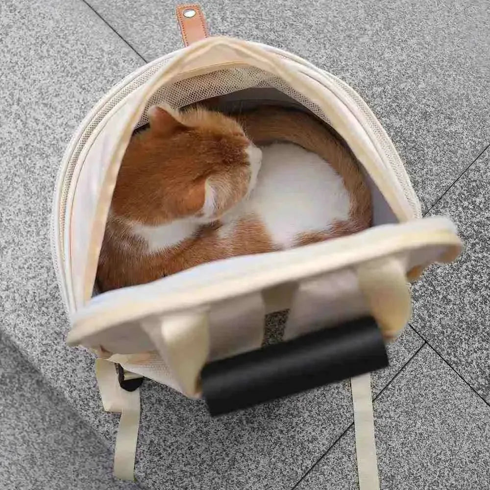 Mochila para Transportar e Carregar Gatos de Luxo - Mundo Animalito