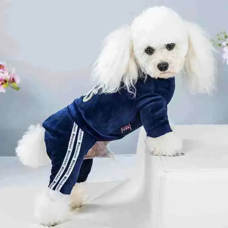 Moletom Fashion para Pets - Mundo Animalito