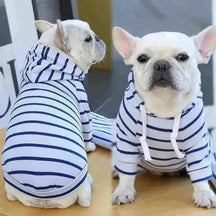 Moletom Listrado Com Capuz Para Cachorros - Mundo Animalito