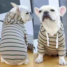 Moletom Listrado Com Capuz Para Cachorros - Mundo Animalito