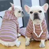 Moletom Listrado Com Capuz Para Cachorros - Mundo Animalito