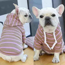 Moletom Listrado Com Capuz Para Cachorros - Mundo Animalito