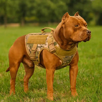 Camuflado