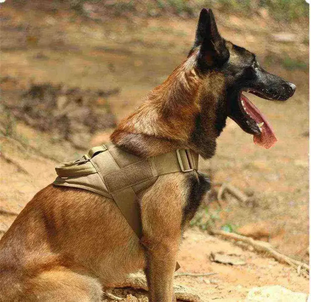 Coleira Peitoral Personalizada Militar para Cães | Mundo Animalito - Mundo Animalito