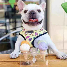 Peitoral para Cachorros - Unicórnio e Sorvete - Mundo Animalito