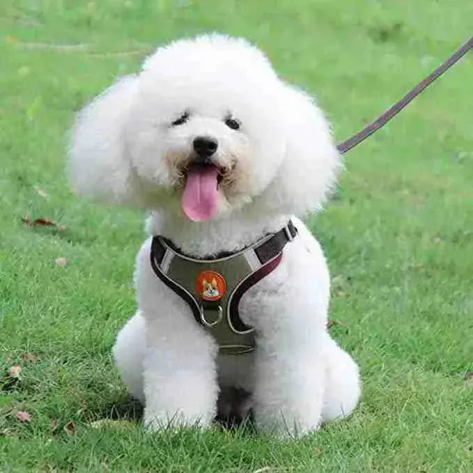 Peitoral Para Cães Refletiva com Guia | Mundo Animalito - Mundo Animalito