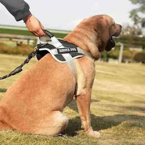 Peitoral Personalizado, Anti Puxão e Reforçado para Cachorros - Mundo Animalito