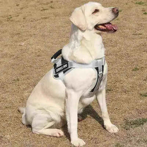 Peitoral Personalizado, Anti Puxão e Reforçado para Cachorros - Mundo Animalito