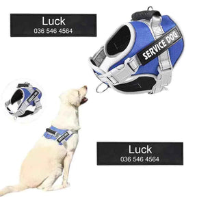 Peitoral Personalizado, Anti Puxão e Reforçado para Cachorros - Mundo Animalito