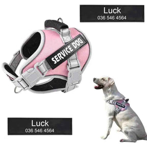 Peitoral Personalizado, Anti Puxão e Reforçado para Cachorros - Mundo Animalito