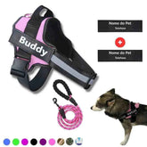 Peitoral Personalizado com Guia + Tags para Cachorros | Mundo Animalito - Mundo Animalito