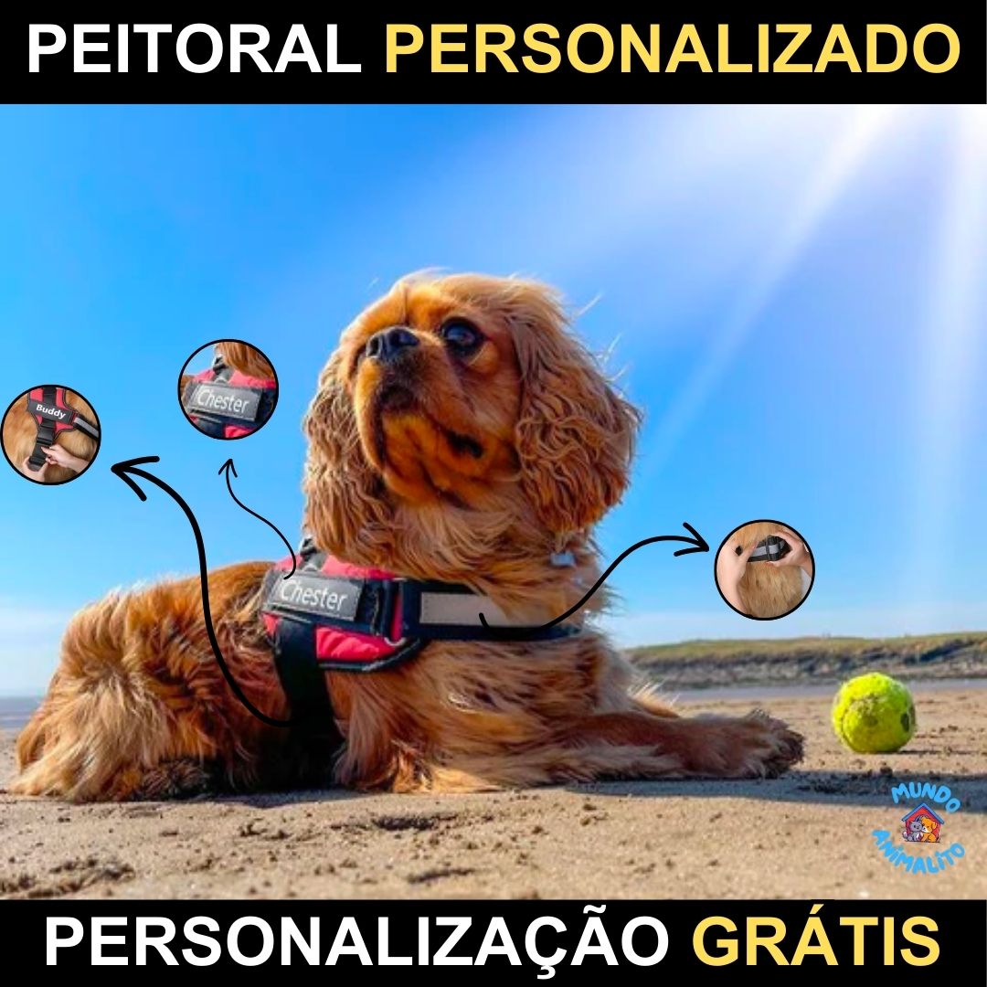 Peitoral Personalizado Para Cachorro Ajustável e Refletivo - Safe Buddy - Mundo Animalito