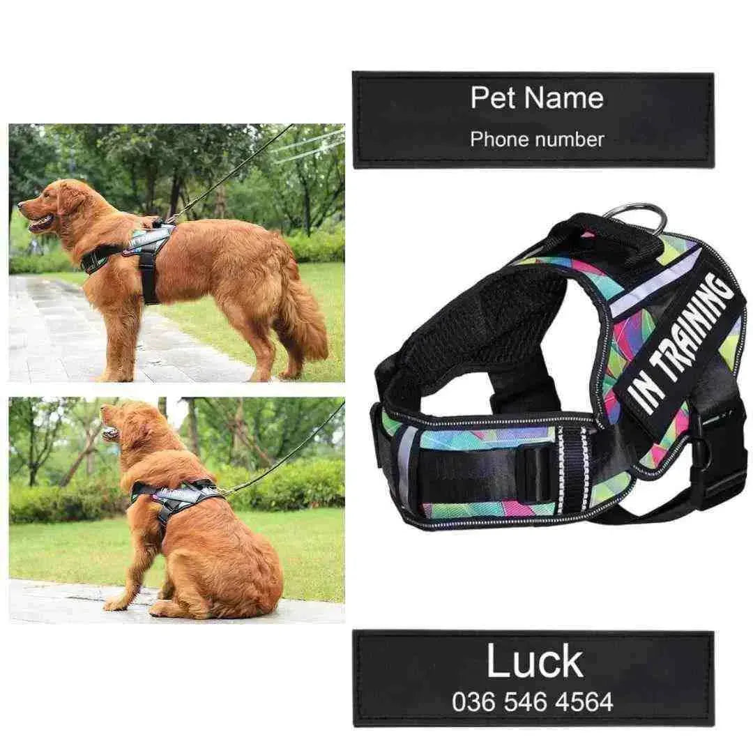 Peitoral Personalizado para Cachorros - Anti puxão e Ajustável - Mundo Animalito