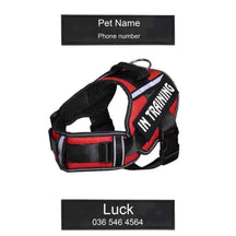 Peitoral Personalizado para Cachorros - Anti puxão e Ajustável - Mundo Animalito