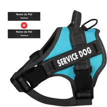 Peitoral Personalizado para Cachorros com 2 Tags - Mundo Animalito