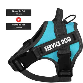 Peitoral Personalizado para Cachorros com 2 Tags - Mundo Animalito
