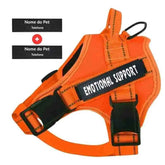 Peitoral Personalizado para Cachorros com 2 Tags - Mundo Animalito