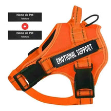 Peitoral Personalizado para Cachorros com 2 Tags - Mundo Animalito