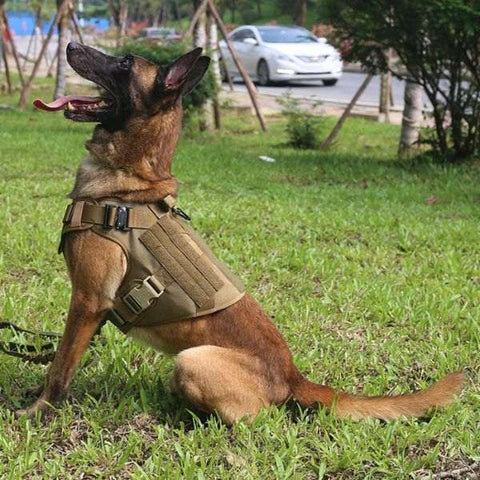 Peitoral Militar Anti Puxão Tático e Reforçado para Cães