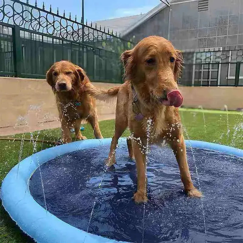 Piscina para Cachorro Pequeno, Médio e Grande com Chafariz - Mundo Animalito