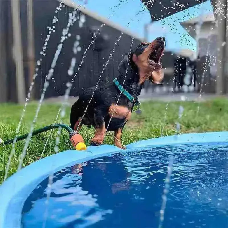 Piscina para Cachorro Pequeno, Médio e Grande com Chafariz - Mundo Animalito