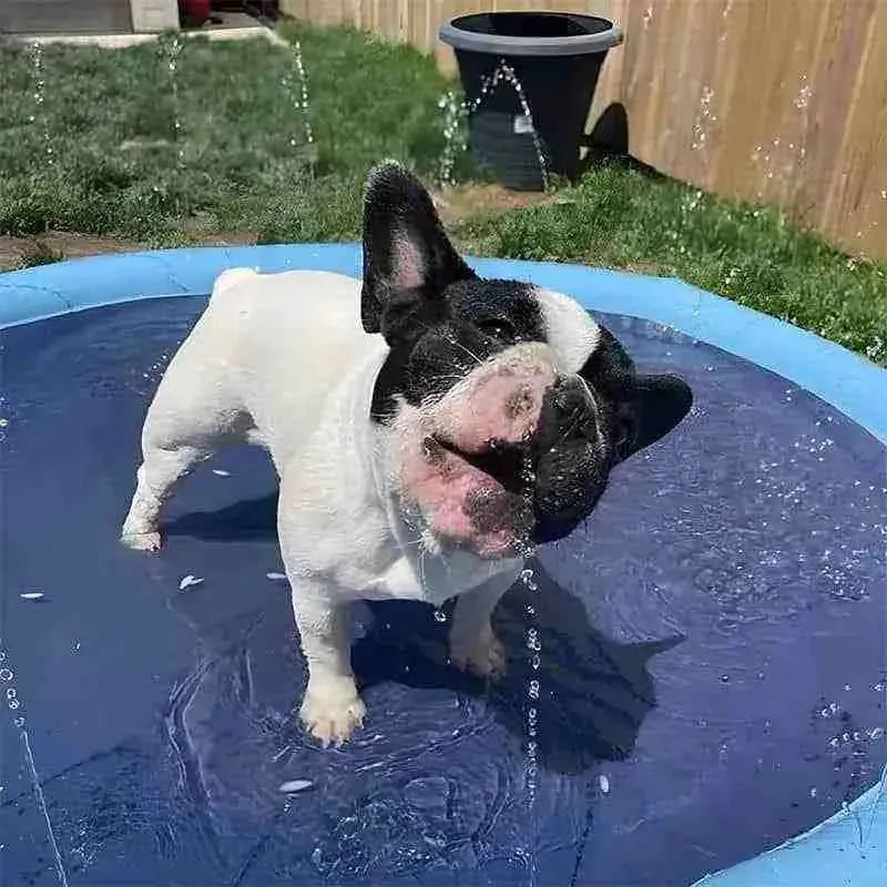 Piscina para Cachorro Pequeno, Médio e Grande com Chafariz - Mundo Animalito