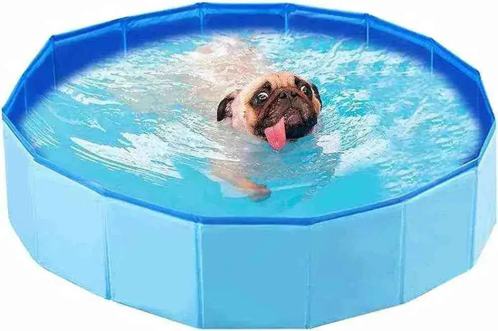 Piscina para Cachorros de Pequeno,Médio e Grande Porte - Mundo Animalito - Mundo Animalito