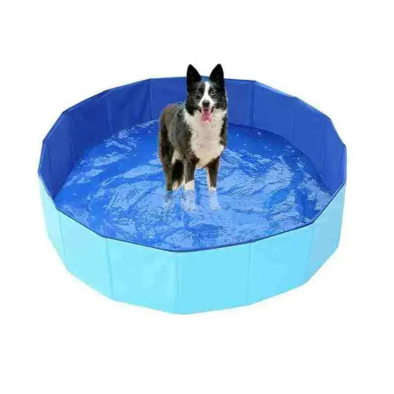 Piscina para Cachorros de Pequeno,Médio e Grande Porte - Mundo Animalito - Mundo Animalito