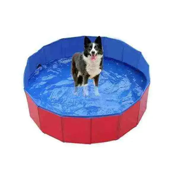 Piscina para Cachorros de Pequeno,Médio e Grande Porte - Mundo Animalito - Mundo Animalito