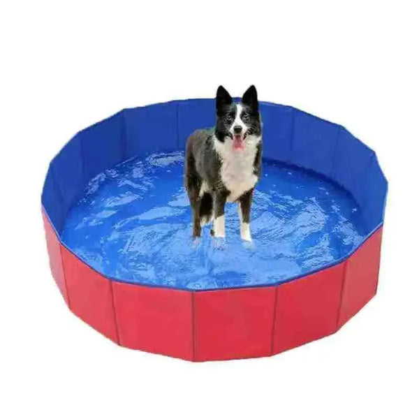 Piscina para Cachorros de Pequeno,Médio e Grande Porte - Mundo Animalito - Mundo Animalito