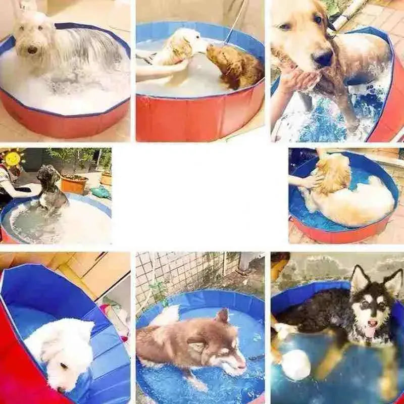 Piscina para Cachorros de Pequeno,Médio e Grande Porte - Mundo Animalito - Mundo Animalito