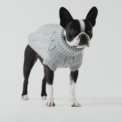 Suéter de Tricô com Gola para Cachorro - Roupa de Frio Pet