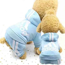 Roupa de Frio Adidog 100% Algodão | Mundo Animalito - Mundo Animalito