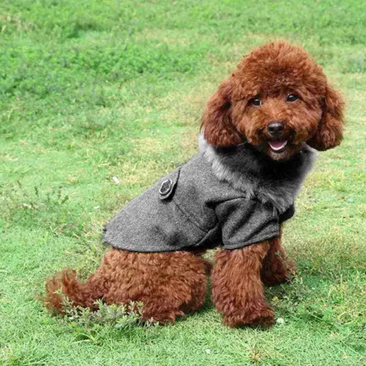 Roupa de Frio para Cachorro com Gola Peluciada - Mundo Animalito