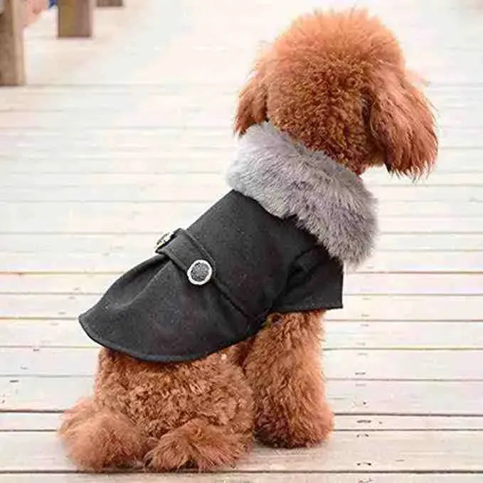 Roupa de Frio para Cachorro com Gola Peluciada - Mundo Animalito