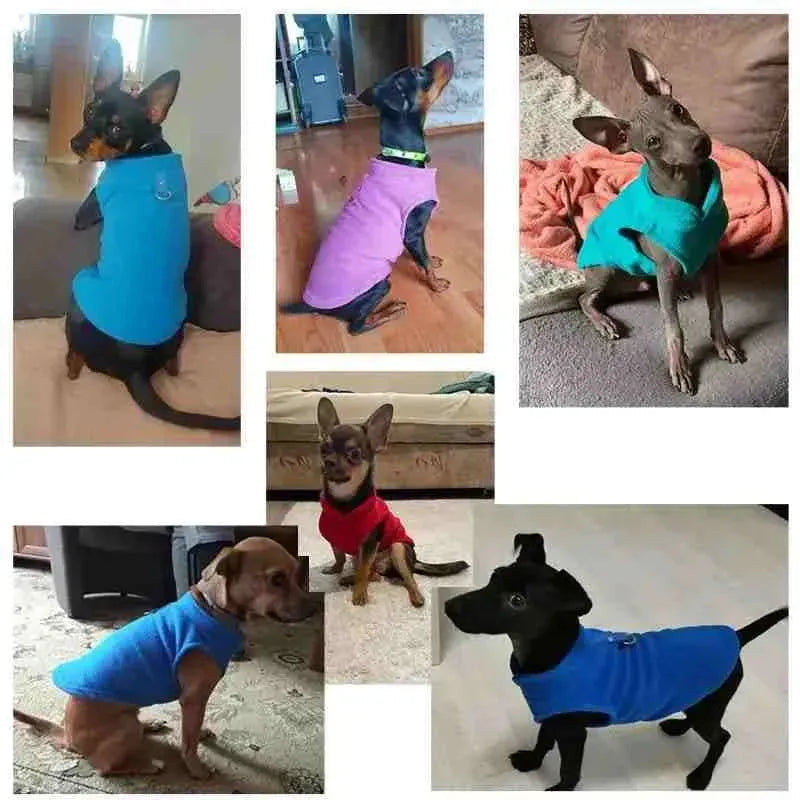 Roupa de Frio para Cachorro com Lã - Mundo Animalito - Mundo Animalito