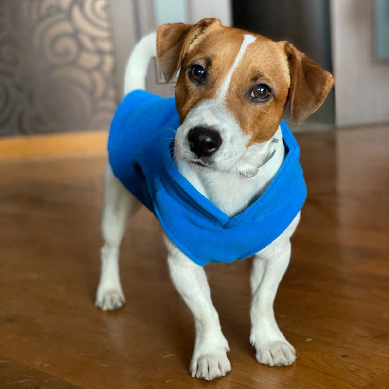 Roupa de Frio para Cachorro com Lã - Mundo Animalito - Mundo Animalito