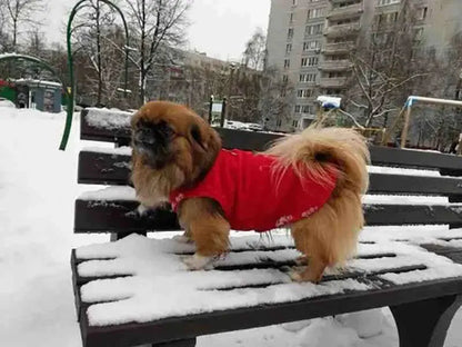 Roupa de Frio para Cachorro com Lã - Mundo Animalito - Mundo Animalito