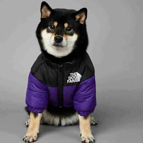 Roupa De Frio Para Cachorro - Jaqueta The Dog Fans - Mundo Animalito