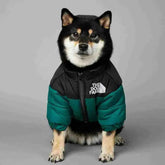 Roupa De Frio Para Cachorro - Jaqueta The Dog Fans - Mundo Animalito