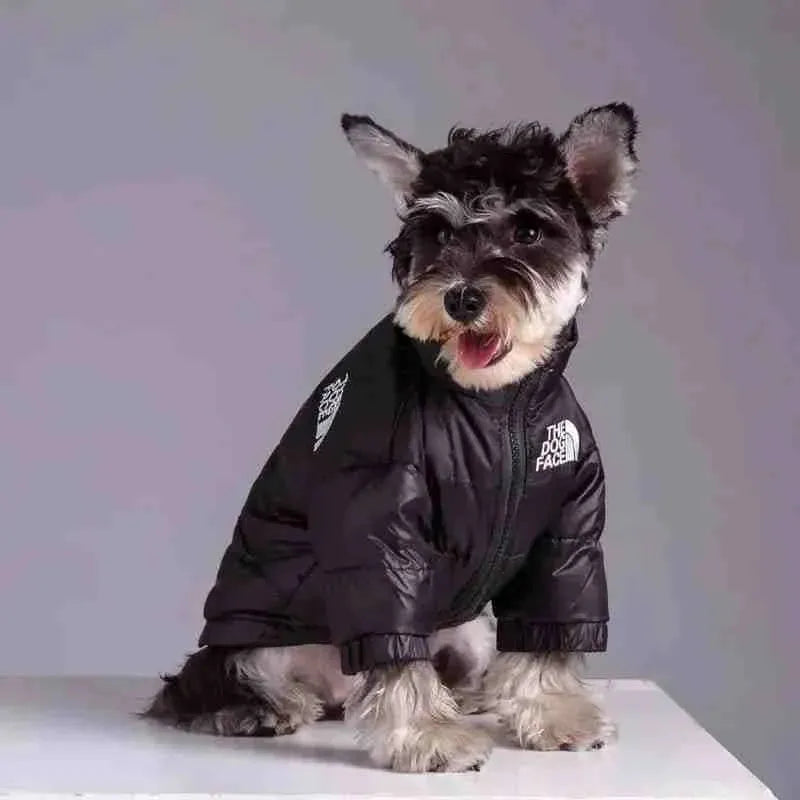 Roupa de Frio para Cachorros A Prova D'Água The Dog Face - Mundo Animalito